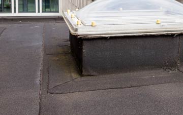 disadvantages of Bardrainney flat roofs
